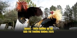 AE888 - Thiên Đường Đá Gà - Giải Trí Thưởng Khủng 2025