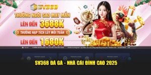 SV368 Đá Gà - Trải Nghiệm Đỉnh Cao - Nhận Thưởng Khủng!